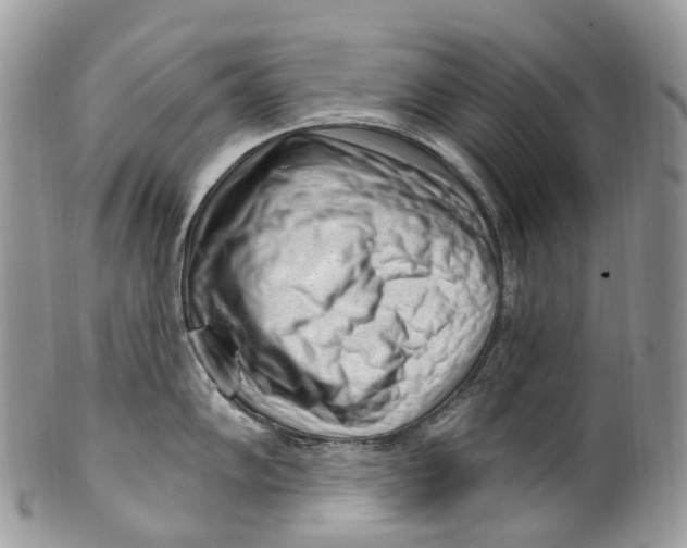 X0000099521102200806051205