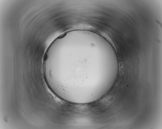 X0000099521103200806051205