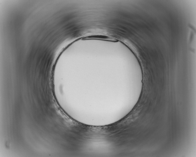 X0000099521104200806051205