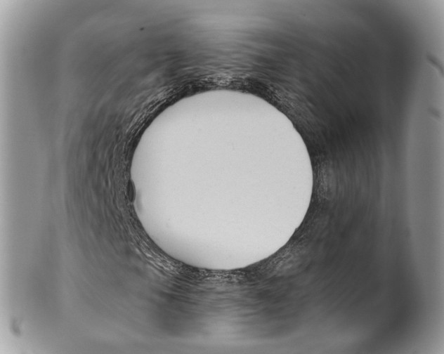 X0000099521105200806051204