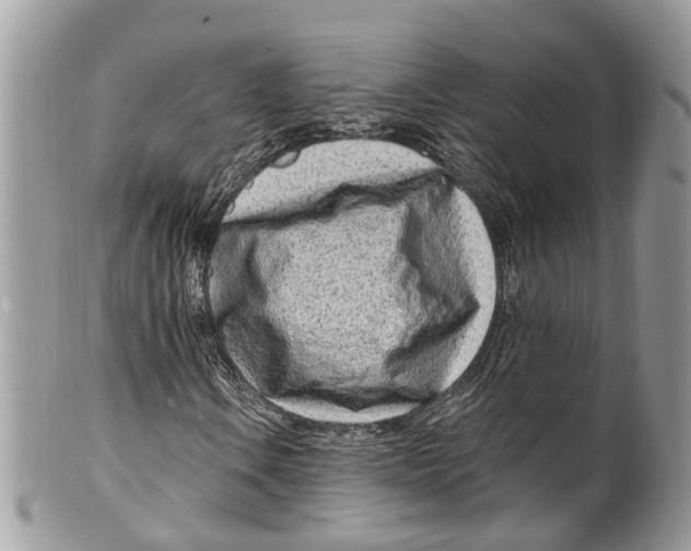 X0000099521106200806051204