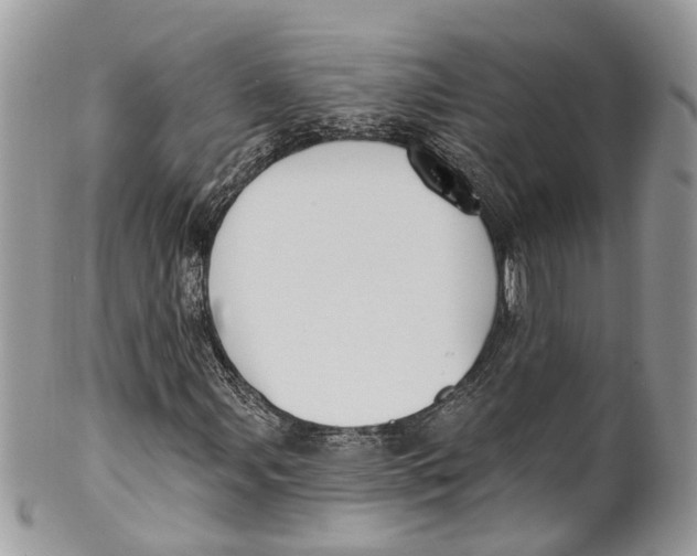 X0000099521107200806051204