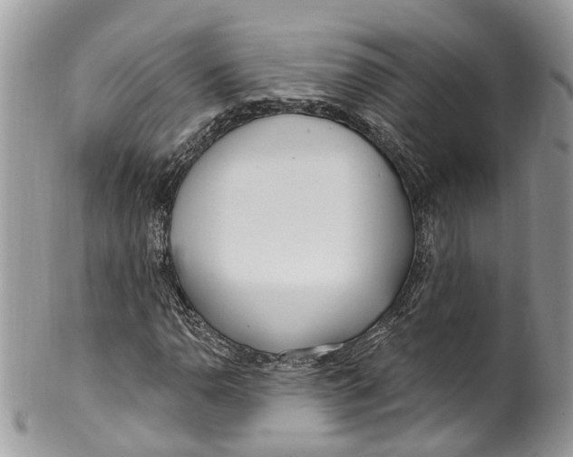 X0000099521110200806051204