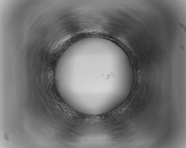 X0000099521111200806051204