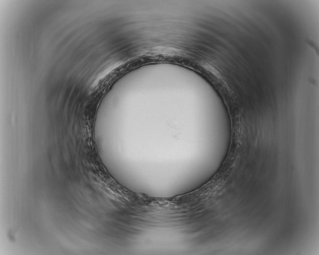 X0000099521112200806051204