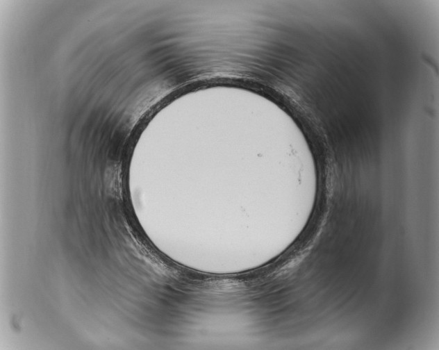 X0000099521113200806051204