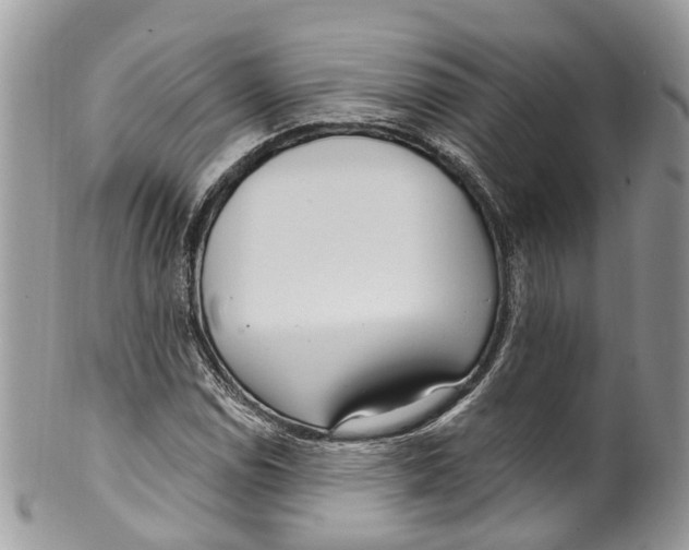 X0000099521114200806051204