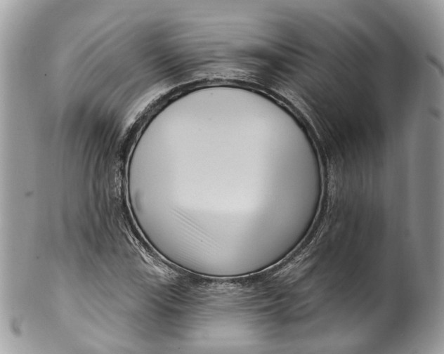 X0000099521115200806051204