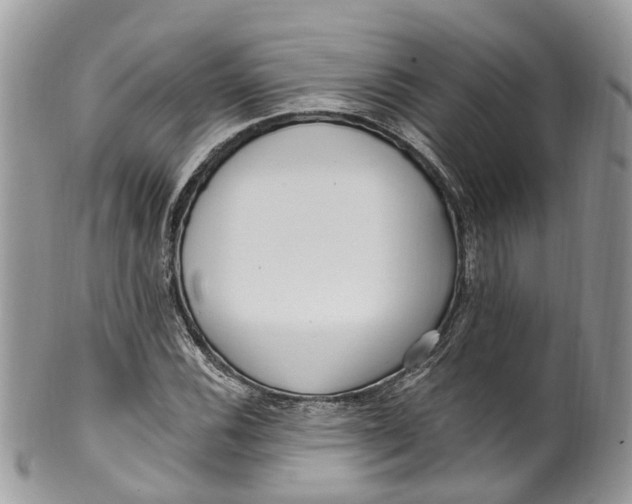 X0000099521116200806051204