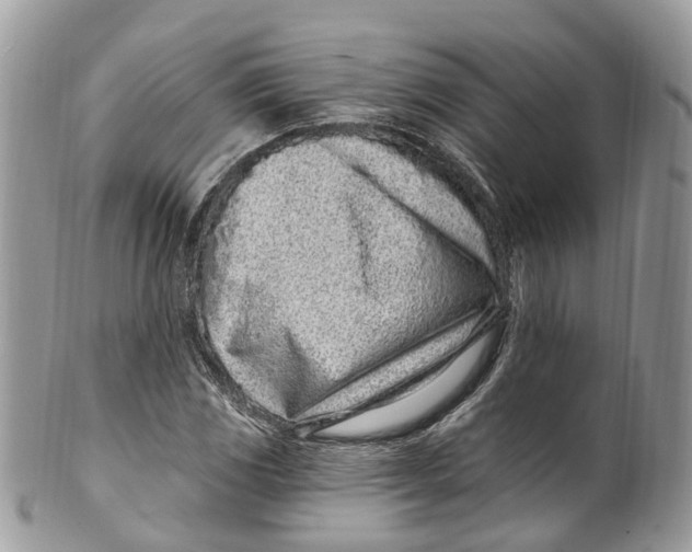 X0000099521117200806051204