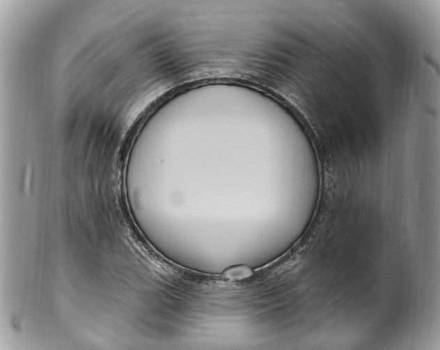 X0000099521119200806051204