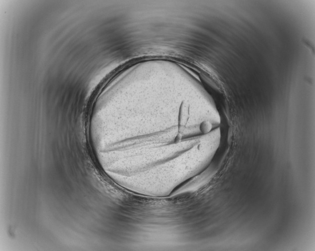 X0000099521120200806051204