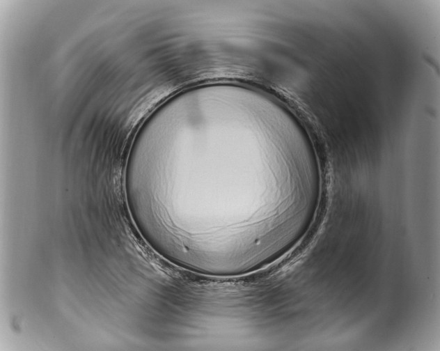 X0000099521121200806051204