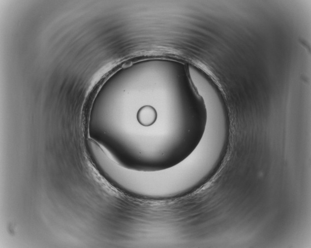 X0000099521122200806051204