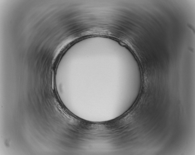 X0000099521123200806051204