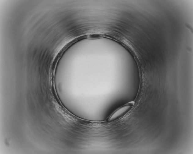 X0000099521124200806051204