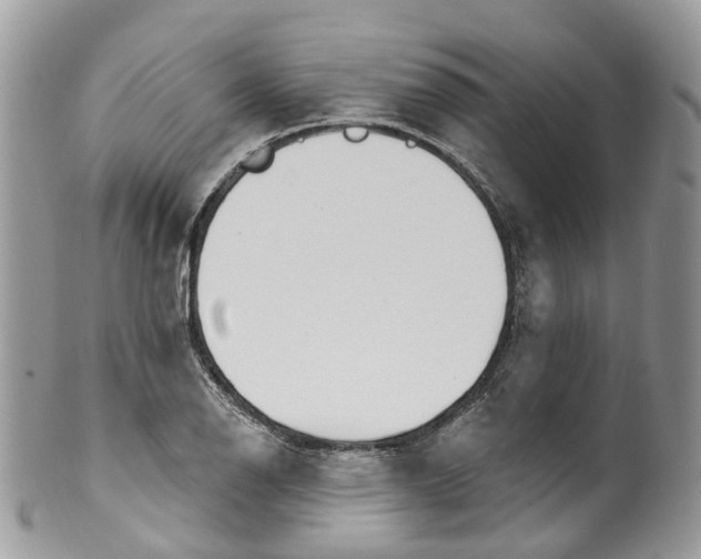 X0000099521126200806051204