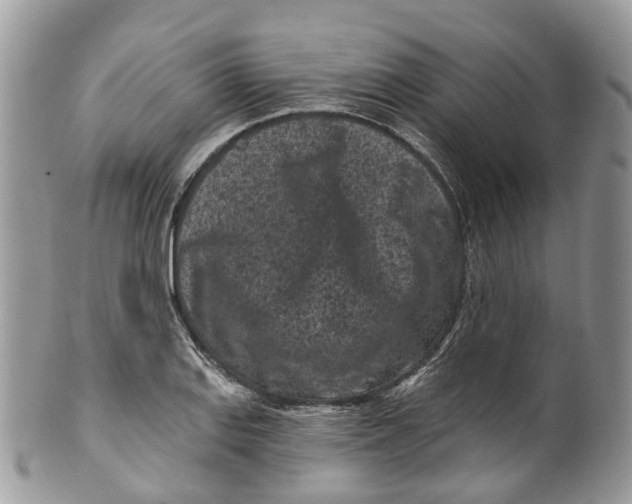 X0000099521127200806051204