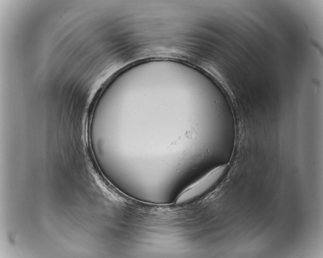 X0000099521128200806051204