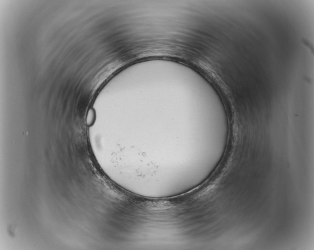 X0000099521129200806051204