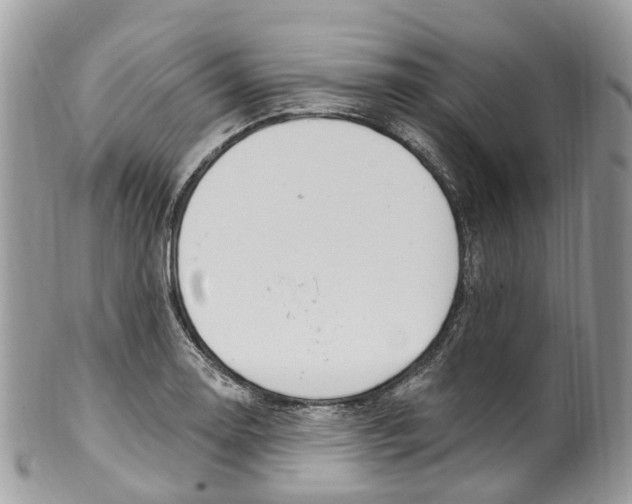 X0000099521130200806051204