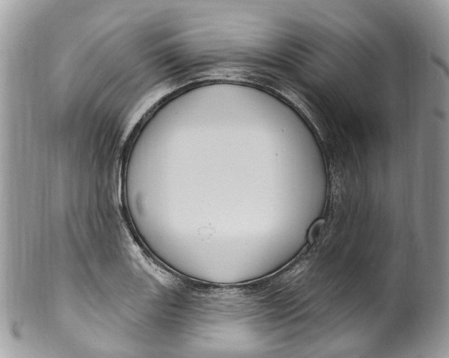 X0000099521131200806051205