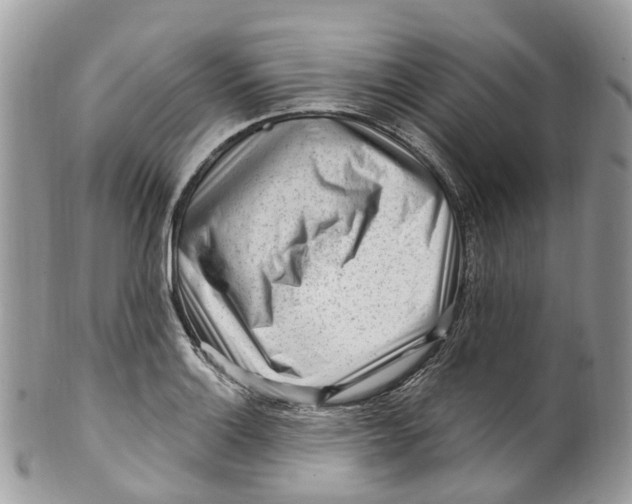 X0000099521132200806051205