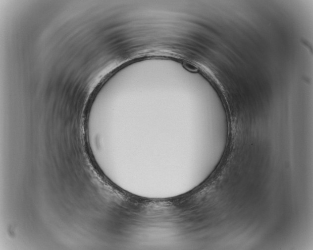 X0000099521133200806051205