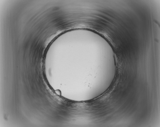 X0000099521134200806051205