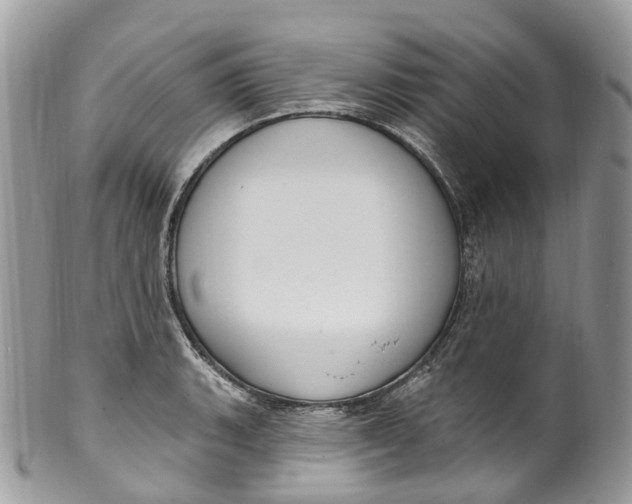 X0000099521135200806051205