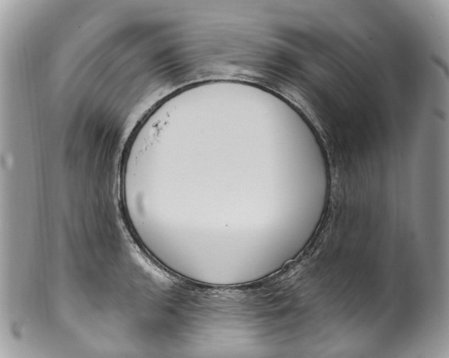 X0000099521136200806051205