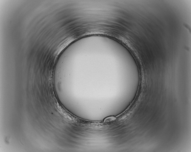 X0000099521137200806051205