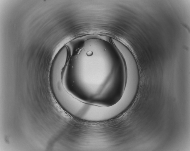 X0000099521138200806051205