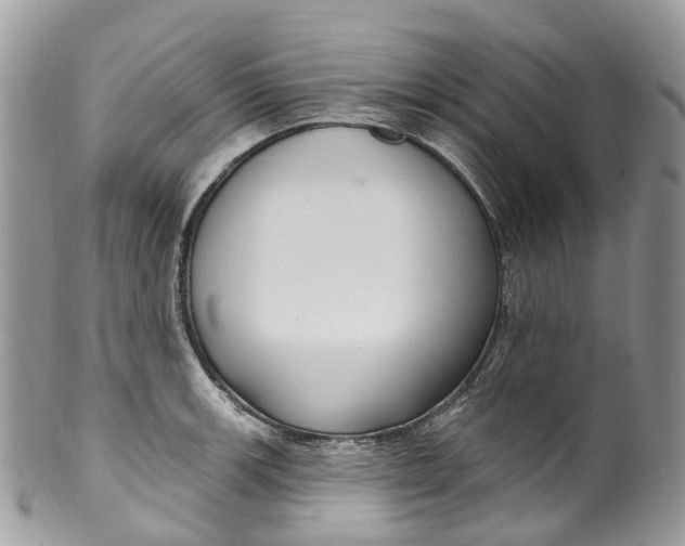 X0000099521139200806051205