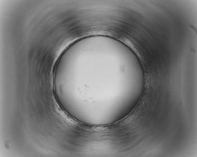 X0000099521140200806051205