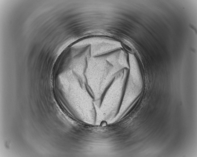 X0000099521141200806051205