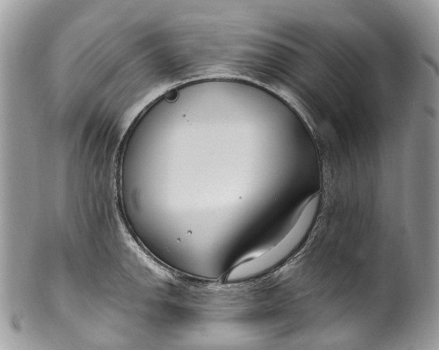 X0000099521142200806051205