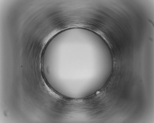 X0000099521143200806051205