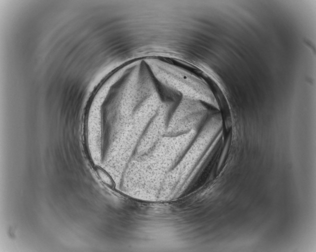 X0000099521144200806051205