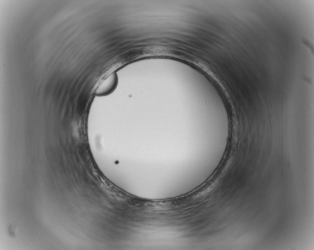 X0000099521145200806051205