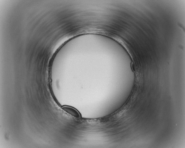 X0000099521147200806051205