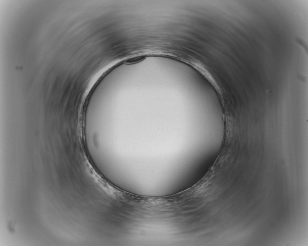 X0000099521148200806051205