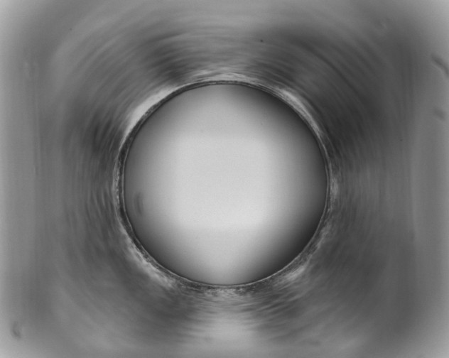 X0000099521149200806051205