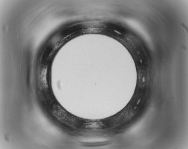 X0000099521150200806051205