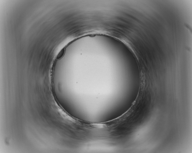 X0000099521151200806051205