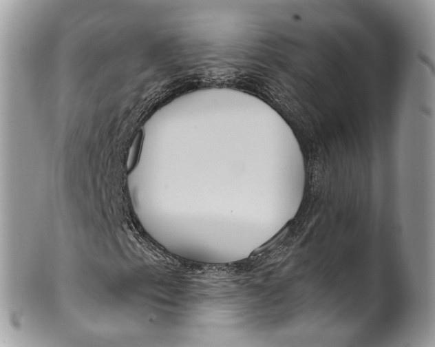 X0000099521153200806051204