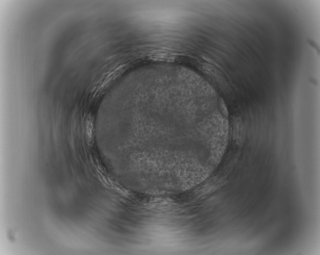 X0000099521154200806051204