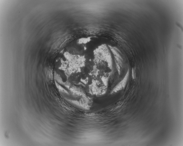 X0000099521155200806051204