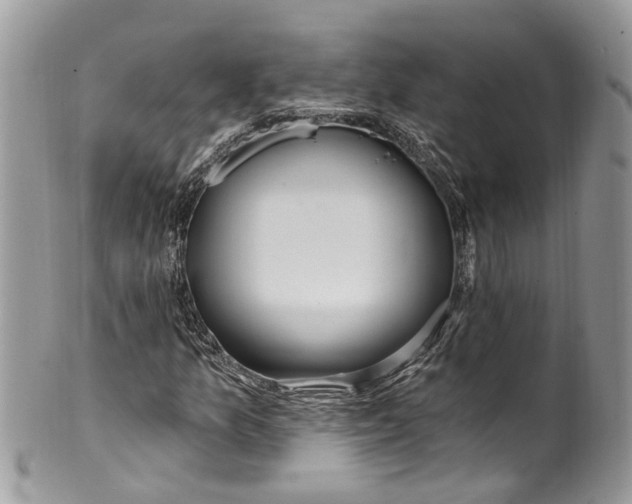 X0000099521157200806051204