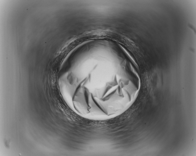 X0000099521158200806051204